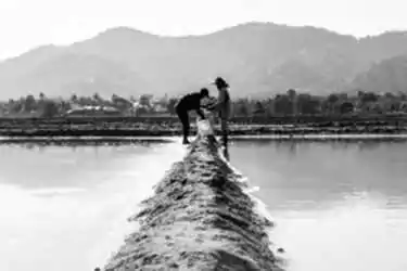 Best Way to Do Eco and Agriculture